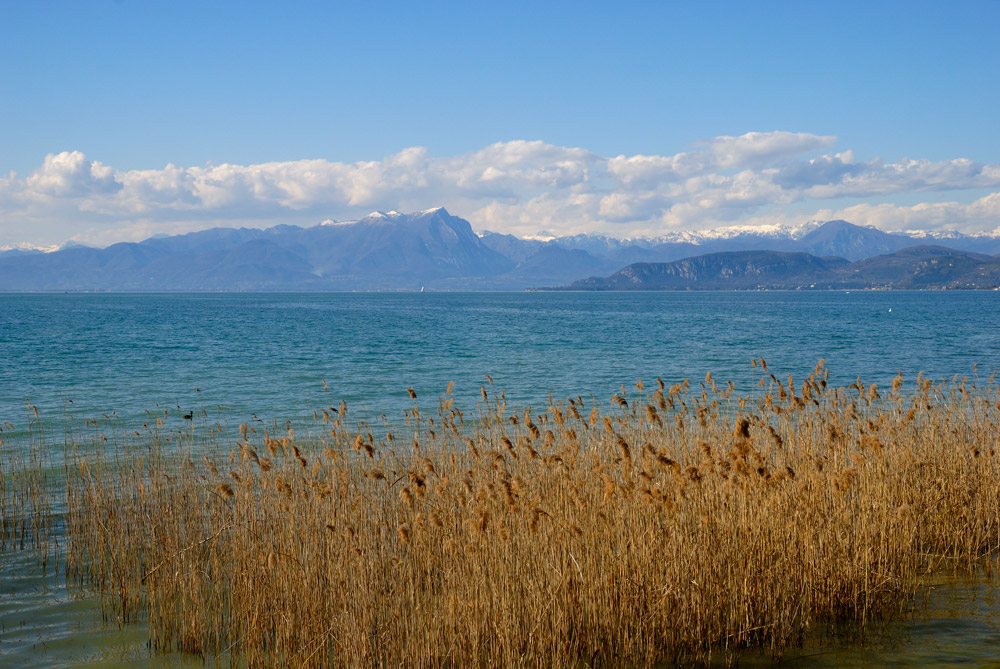 Der Gardasee - zwischen den Alpen und der Poebene, etwa 65 m über Meereshöhe, liegt der Gardasee im Norden in der Region Trentino-Südtirol, im Westen in der Lombardei, im Osten in Venetien. Damit teilen sich die drei Provinzen Trentino  (Norden), Verona (Osten) und Brescia (Westen) die Verwaltung.
Während das nördliche Ufer des Sees von Zweitausendern der Gardaseeberge wie z. B. dem Monte Baldo umsäumt ist, liegt das südliche Ufer bereits in der Ebene. Der See wird hauptsächlich durch den Fluss Sarca gespeist. Dieser fließt am Nordende bei Torbole in den See. Als Mincio verlässt der Fluss bei Peschiera del Garda den Gardasee und fließt später in den Po.