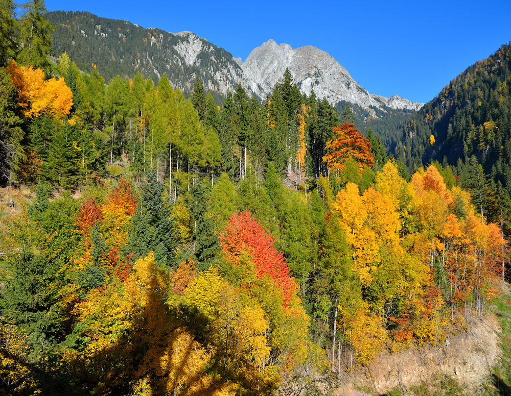 ...Farben des Herbstes in Südtirol...