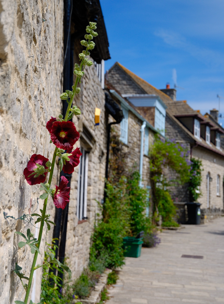 Corfe