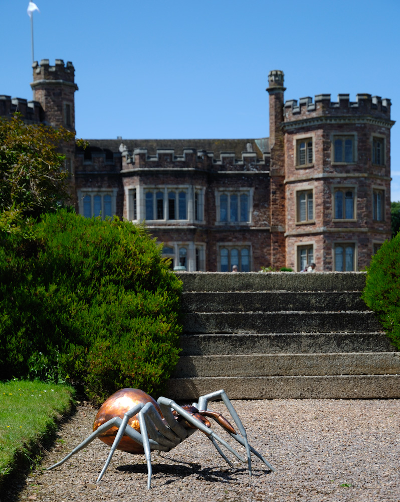 Mt. Edgcumbe House