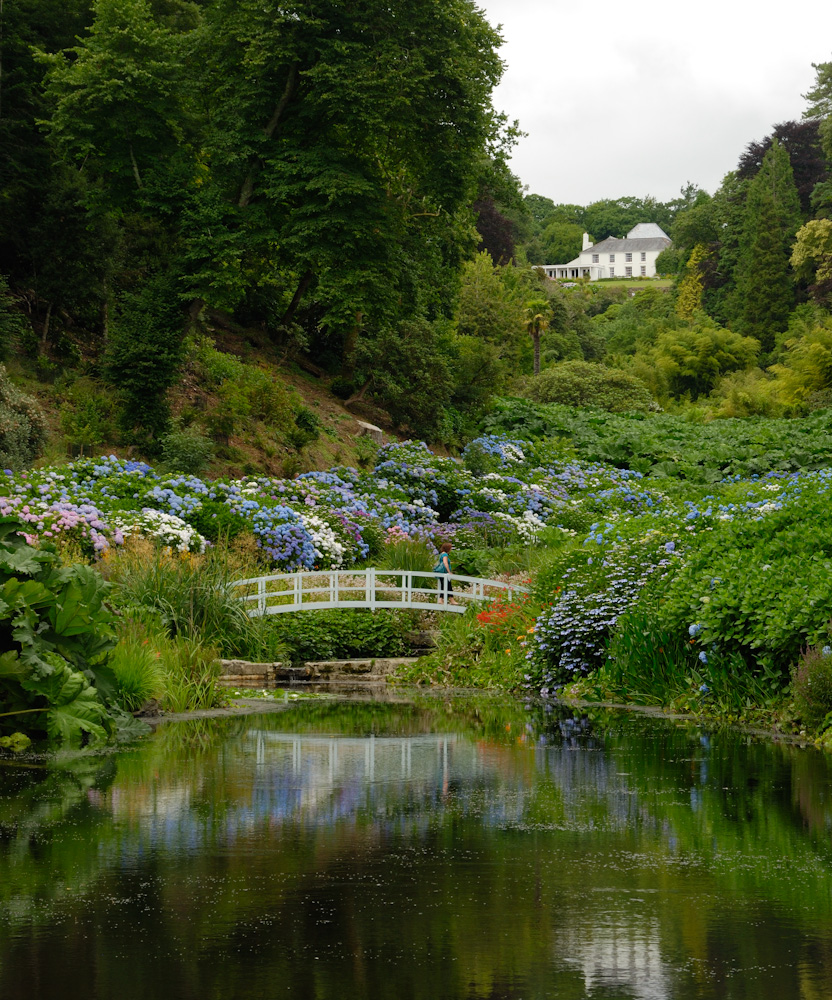 Weiter zum Trebah Garden, ein schöner tropischer Schluchtgarten (hoher Eintritt!). Trebah ist eine Gartenanlage mit subtropischem Bewuchs in Cornwall. Der Park liegt an der Mündung des Helford River etwa acht Kilometer südwestlich der Stadt Falmouth. Seine Fläche beträgt etwa 11 Hektar. Der kornische Name des Gartens bedeutet Das Haus an der Bucht.