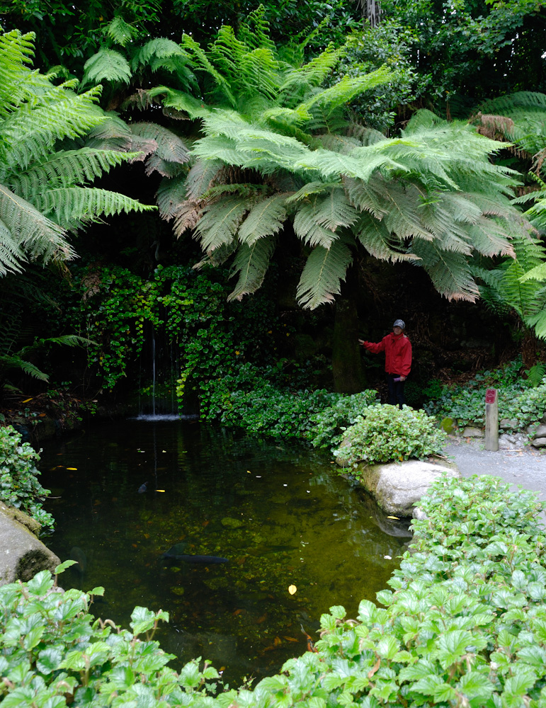 Trebah Garden