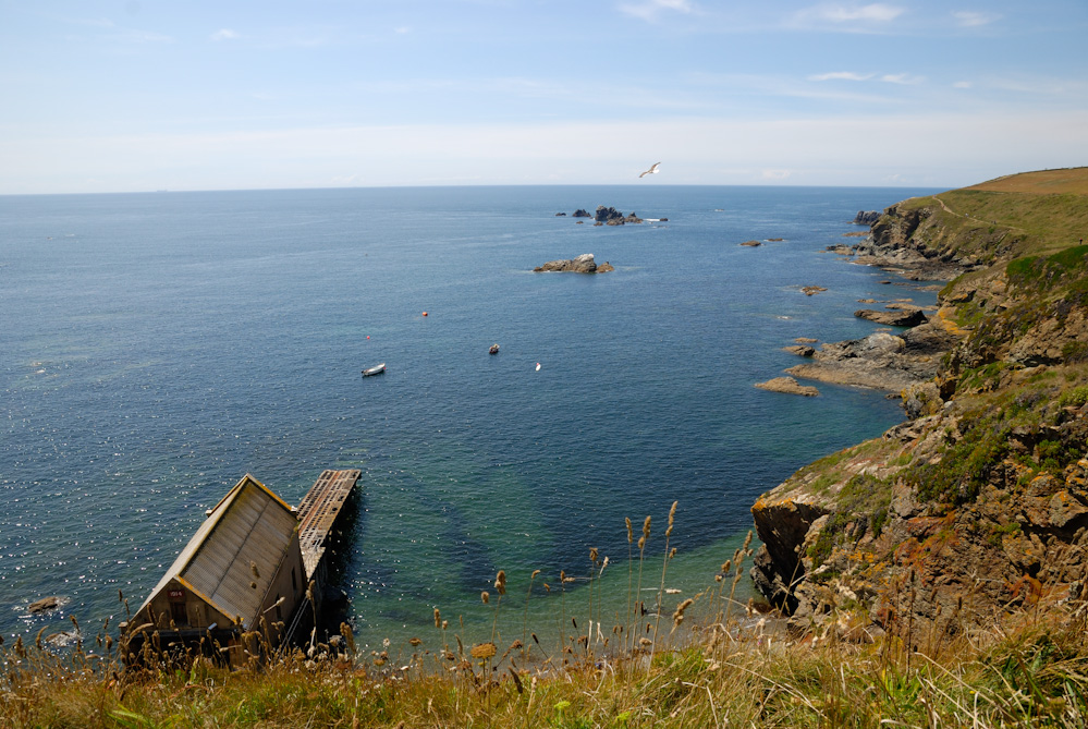 Lizard Point