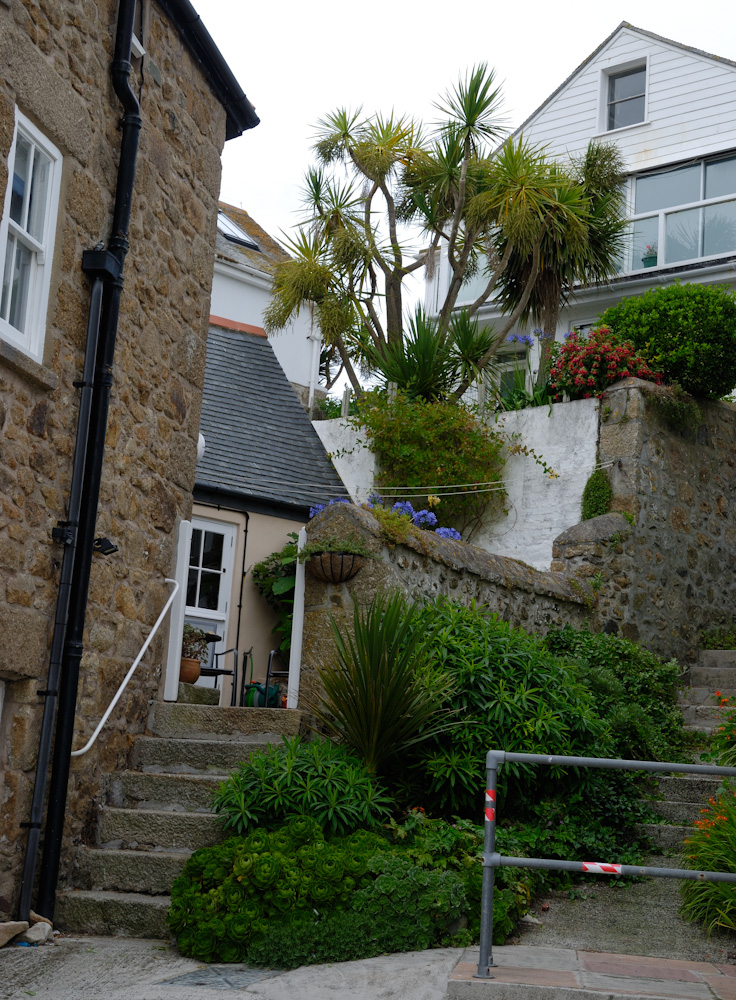 In St Ives spielen auch einige Romane wie zum Beispiel „Die Muschelsucher“ der auch in Deutschland populären Schriftstellerin Rosamunde Pilcher, deren Geburtsort Lelant  nicht weit entfernt ist. St Ives heißt in ihren Büchern „Porthkerris“ und diente oft als Kulisse für die in Deutschland ebenfalls bekannten Romanverfilmungen.