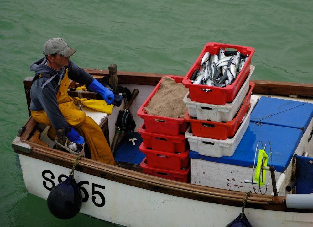 Fischer auf dem Heimweg im Hafen von St.Ives