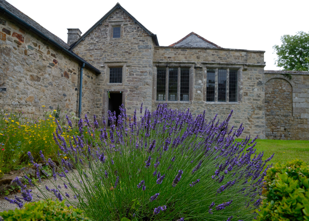 Das Godolphin House ist ein Herrschaftssitz aus der Tudor- und Stuart-Zeit und befindet sich zwischen Townshend und Godolphin Cross in der Nähe von Helston im District Kerrier der Grafschaft Cornwall. Das Gebäude, das man heute besichtigen kann, ist der Rest einer weit größeren Anlage, die bis die Mitte des 18. Jahrhunderts der Sitz der Familie Godolphin war. Die Godolphins, deren Reichtum vom lokalen Zinnbergbau herrührte, waren eine der führenden Familien von Cornwall.