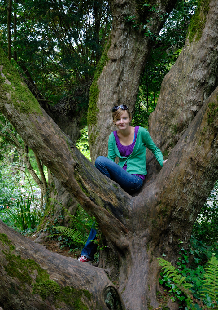 Blarney Castle, im Park