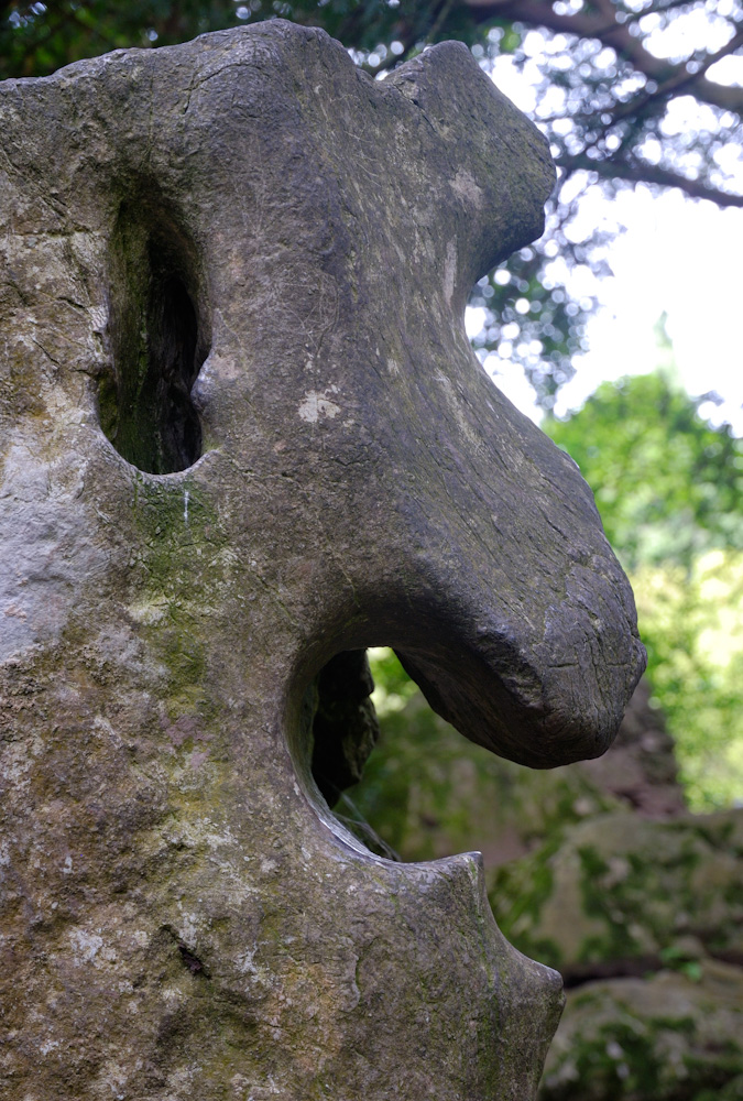 Blarney Castle, im Park, der Witch Stone