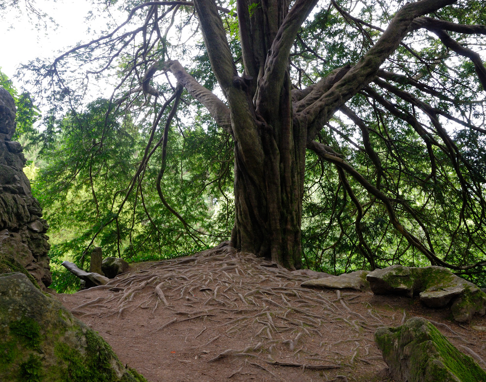 Blarney Castle & Gardens