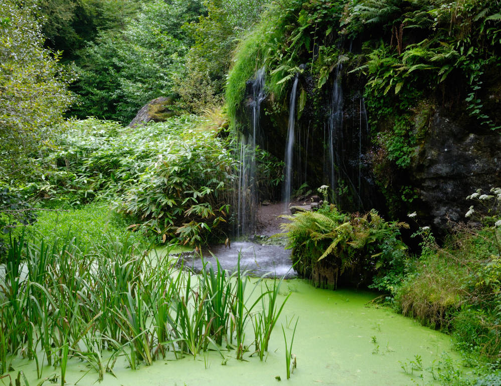 Blarney Castle & Gardens