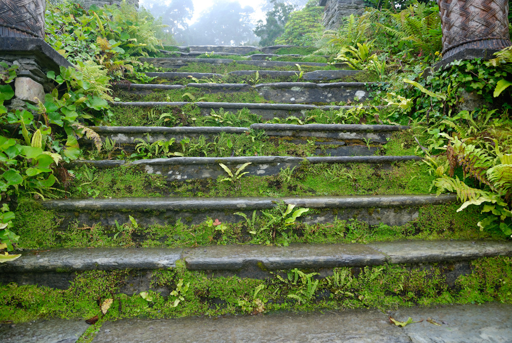 Bantry House, Treppe im ital. Garten