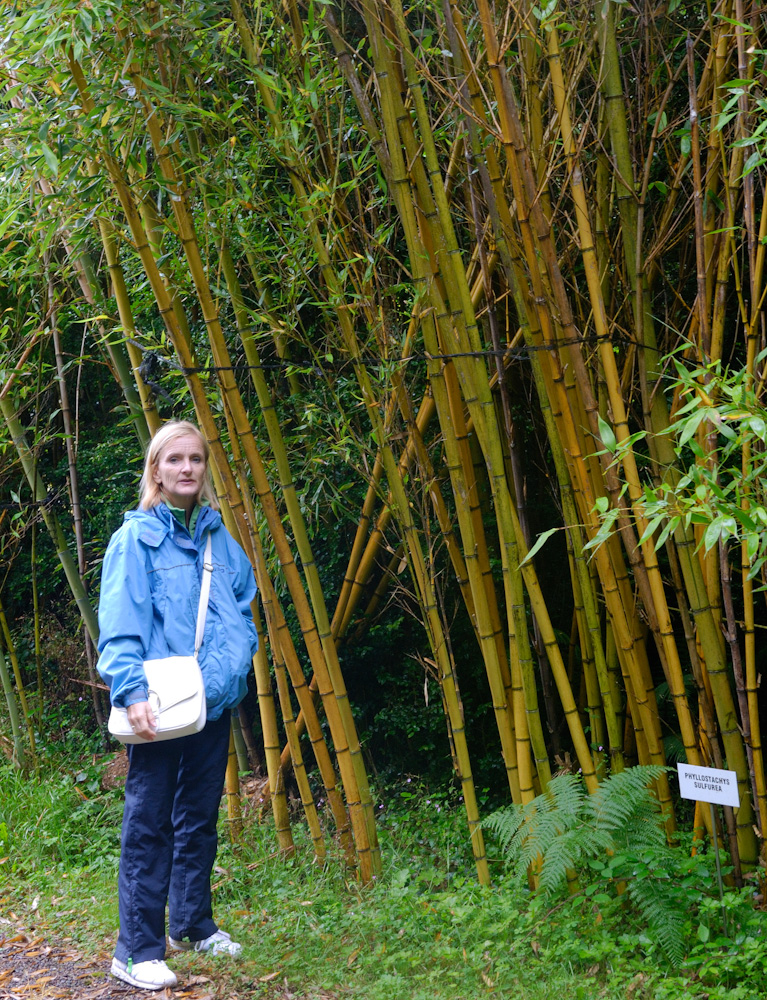 im Bamboo Park