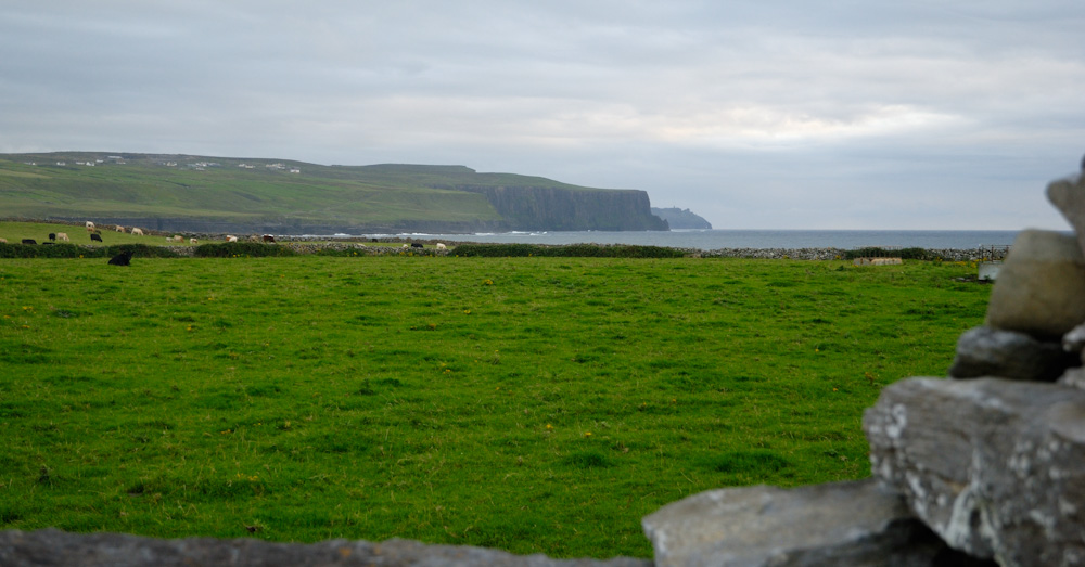 ...ein weiterer Blick zu den Cliffs of Moher...