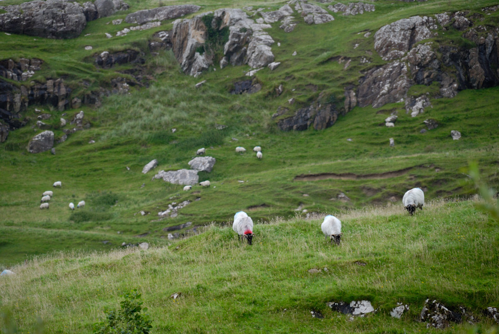 Connemara