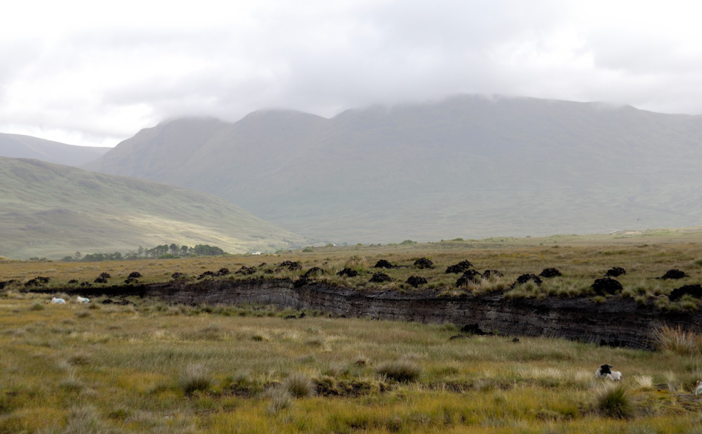 Connemara, Torf wird hier überall noch gestochen.