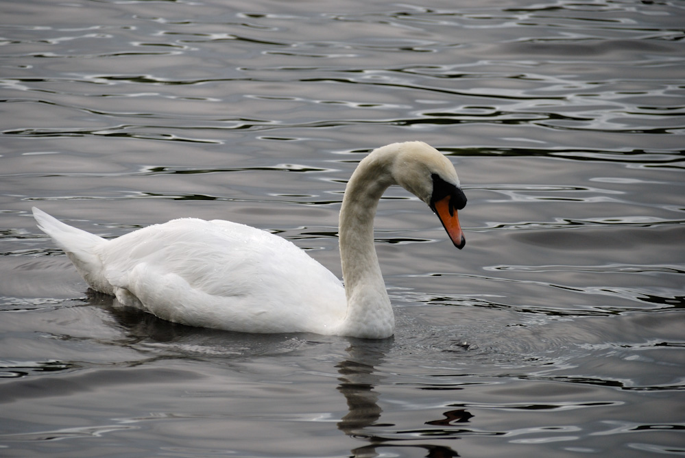 Am Lough Erne