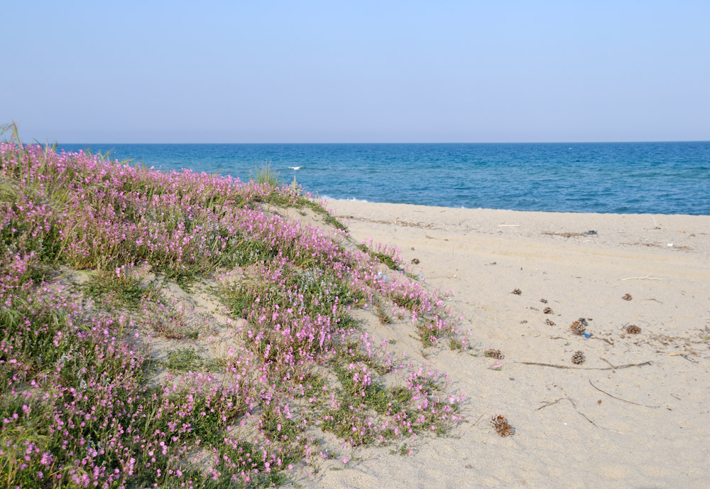 Strand beim CP