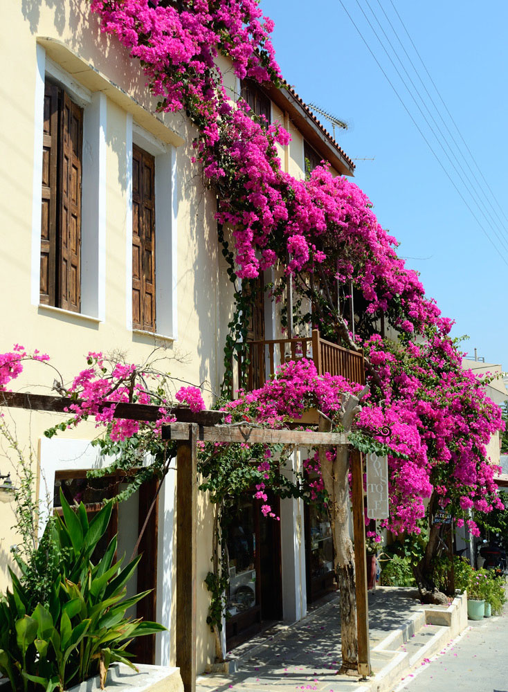 Blumenfassade in Rethymno