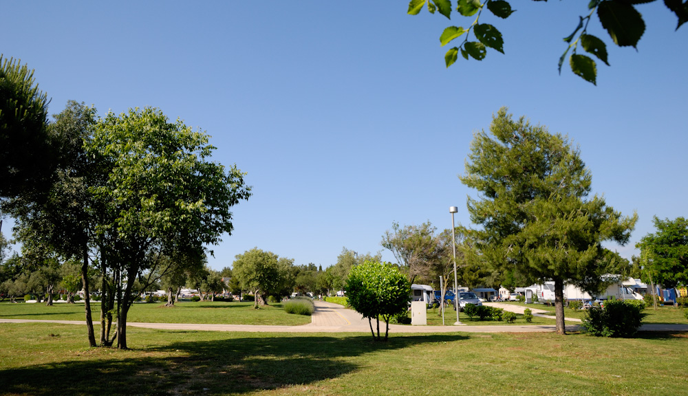 Camp Polari