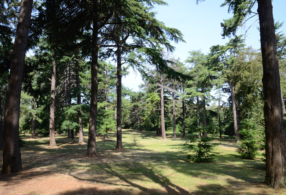 Park bei Rovinj.