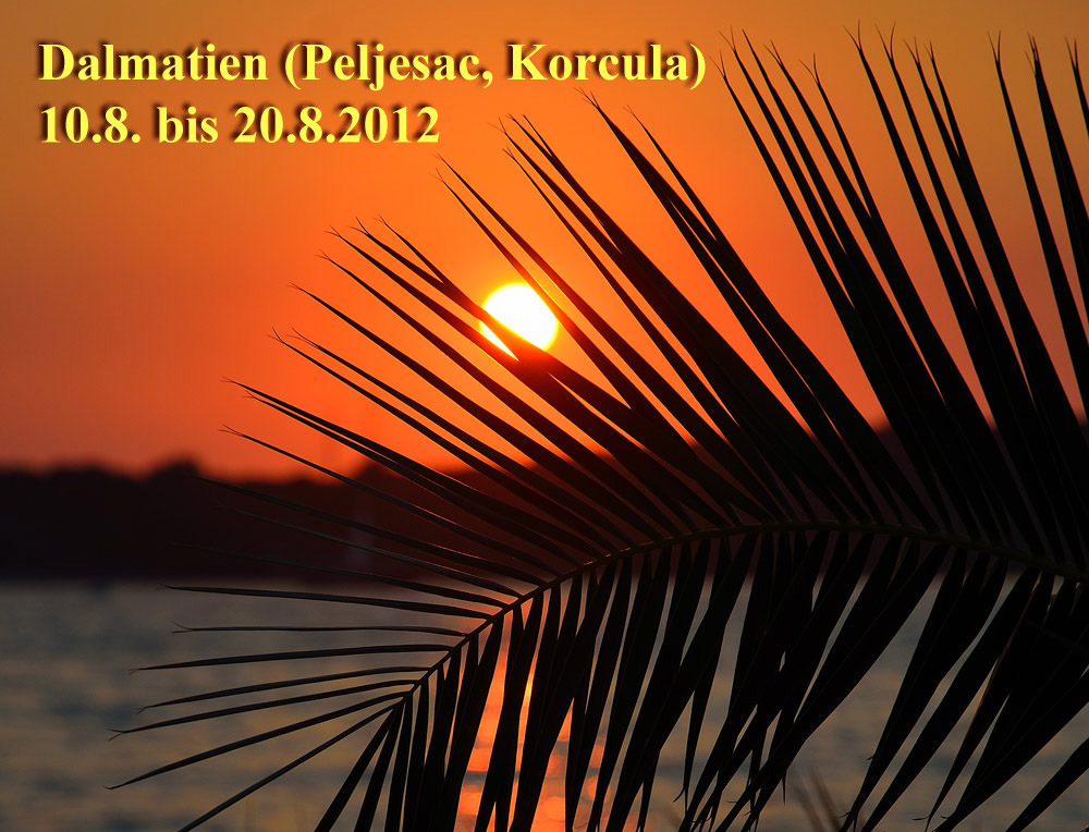 ...Dies wird heuer unser 4. Besuch in Kroatien, schon im April, Mai und Juni verbrachten wir wundersch�Tage in Kroatien. Diesmal geht es ganz runter nach Dalmatien auf die Halbinsel Peljesac...