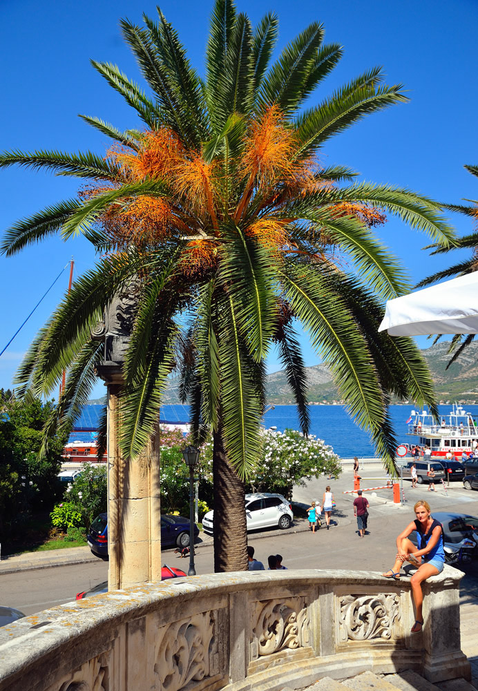 ...Korcula-Stadt...