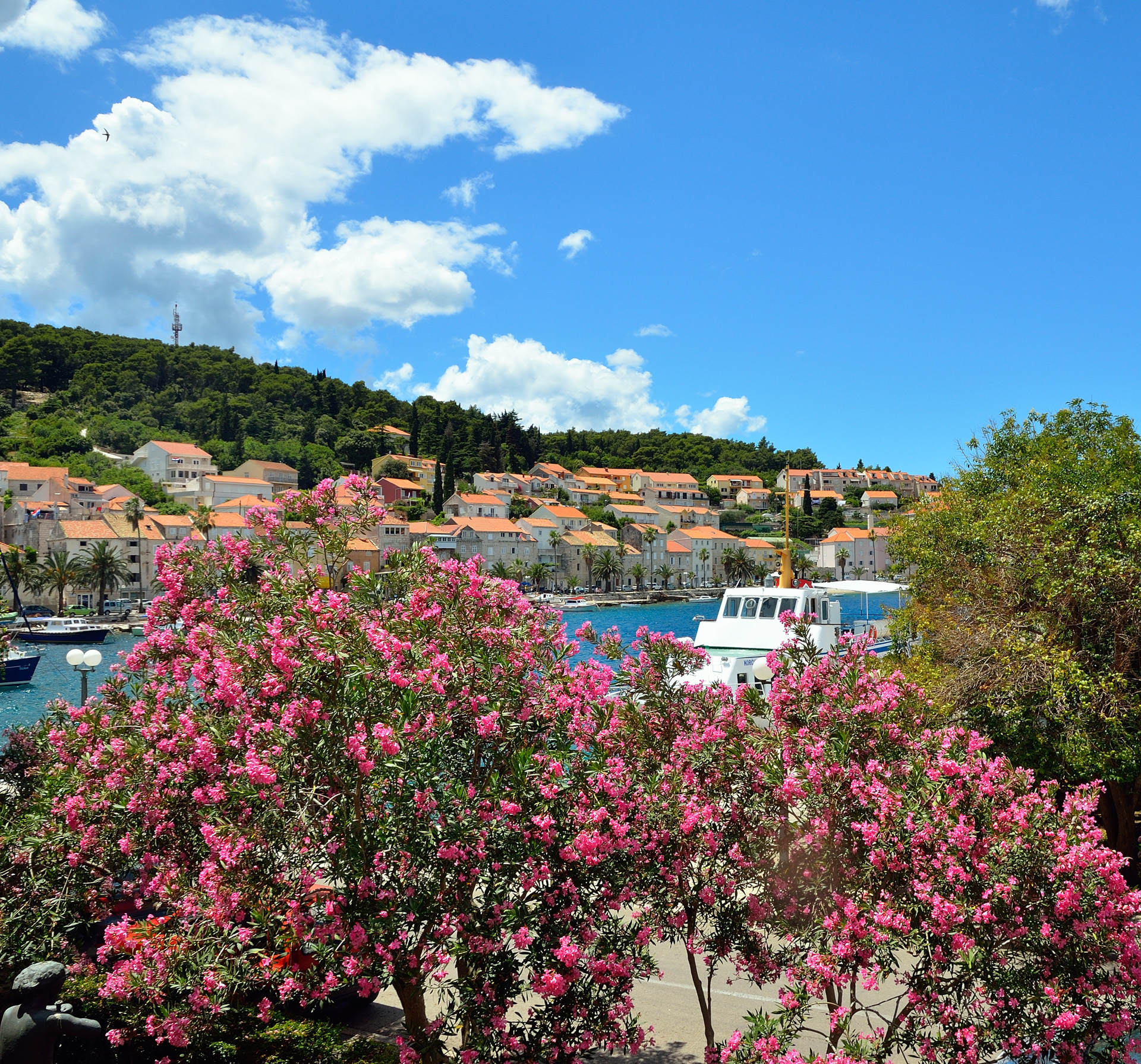 Wir spazieren noch einmal ausserhalb der alten Stadtmauer rund um die Altstadt. Entlang der Promenade wuchert Ende Juni überall der Oleander, einfach nur schön. Um 14:00 Uhr fahren wir mit der Fähre zurück nach Viganj, den Rest des Tages verbringen wir am CP mit lesen, baden, essen, fernsehen...Auch morgen am 26.6. wird nur gefaulenzt, am Abend wird der Griller wieder gute Dienste leisten...