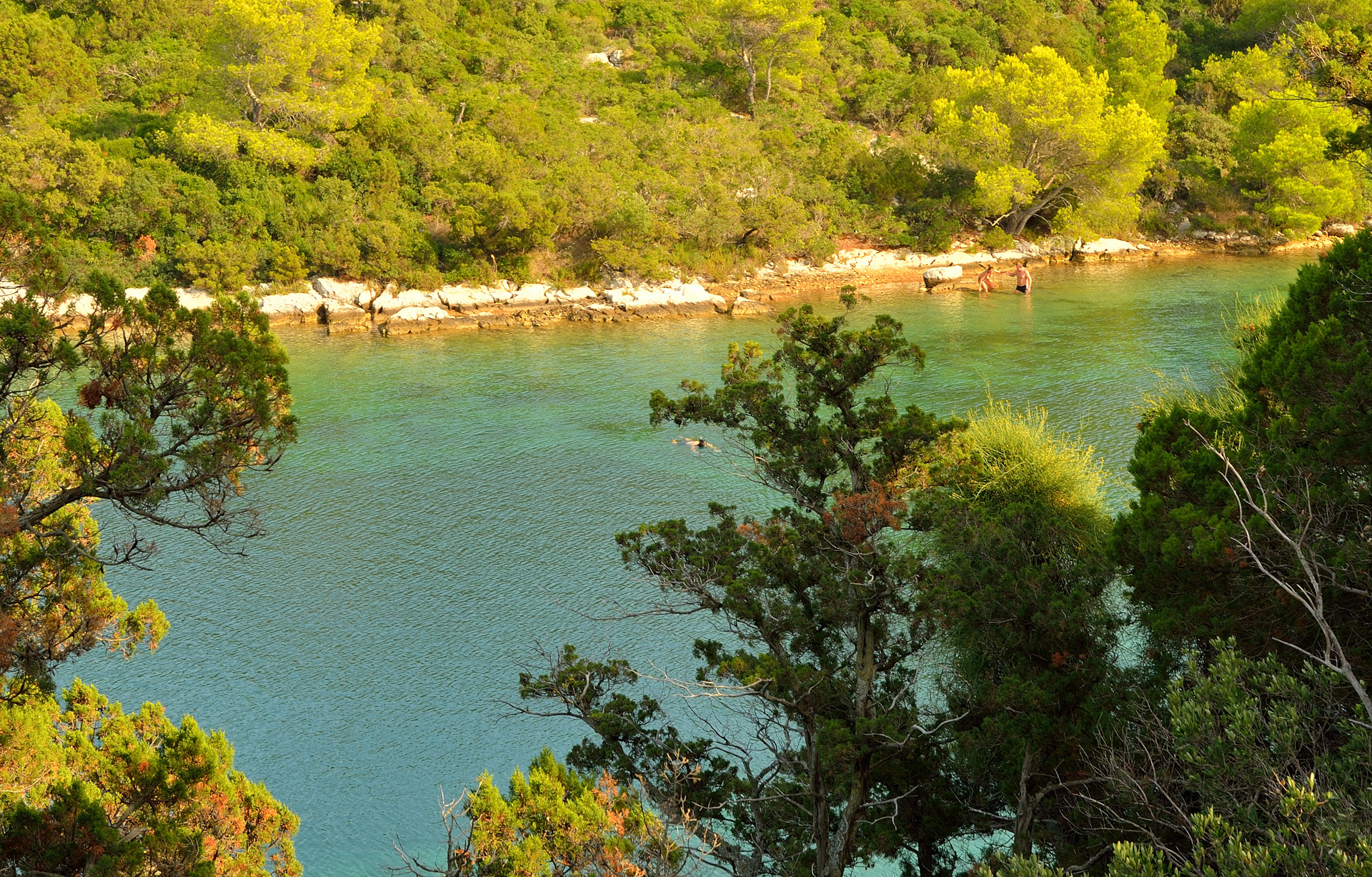 Im Nationalpark Mljet, in ausgewiesenen Bereichen ist das baden erlaubt...