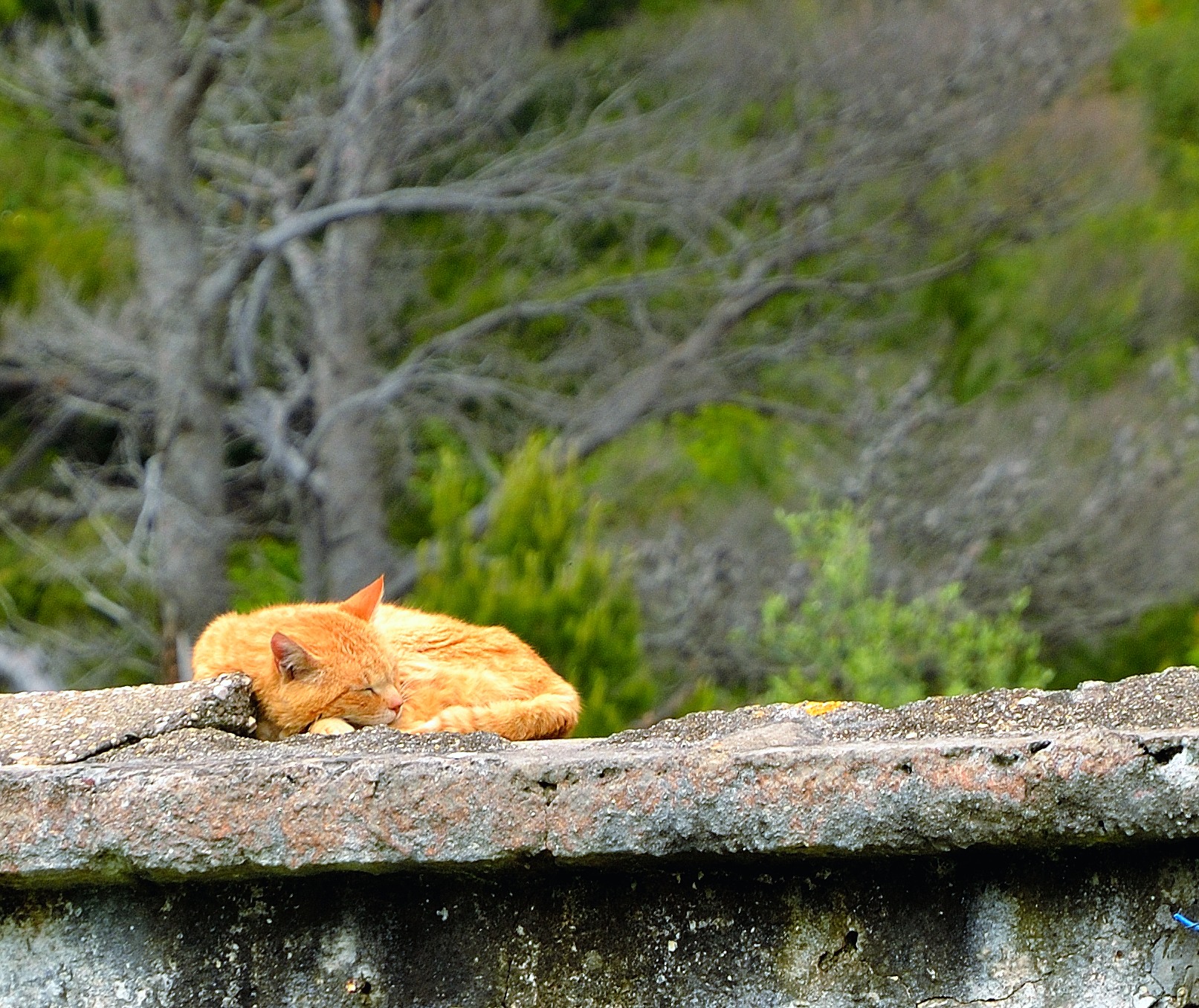 ...die Steinplatten werden durch die Sonne erwärmt, da lässt es sich gut aushalten...