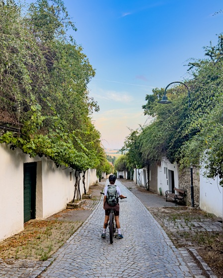 Weinviertel 2026