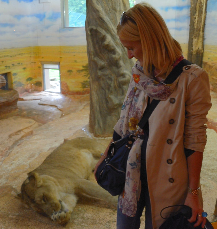 Tierpark Hellbrunn Salzburg, Hauskatze gefällig?!