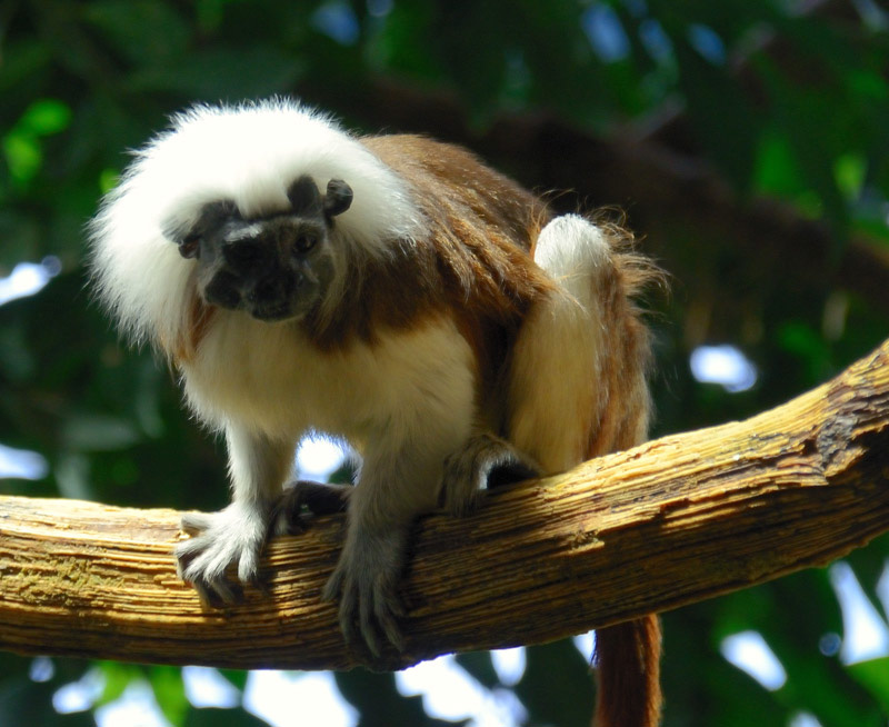 Tierpark Hellbrunn Salzburg