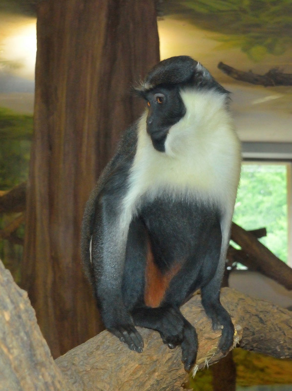 Tierpark Hellbrunn Salzburg