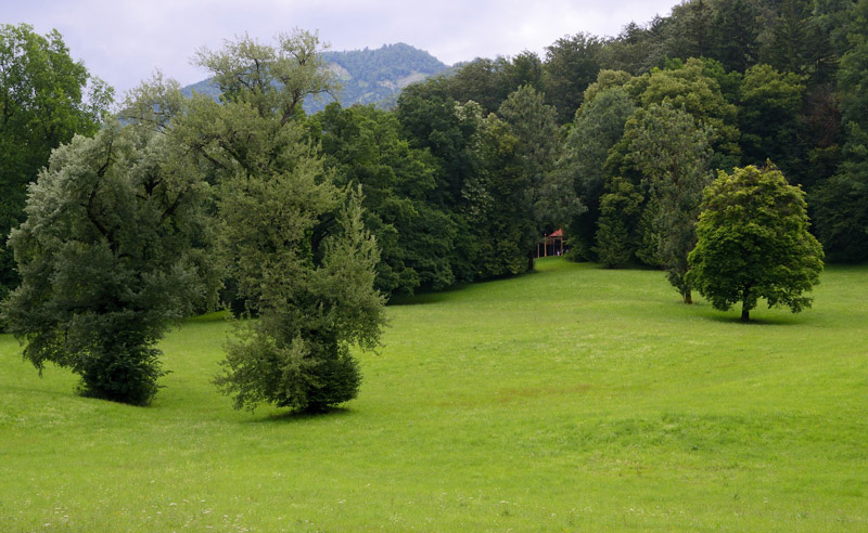 Das Schloss ist von einem wunderschönen Park umgeben.