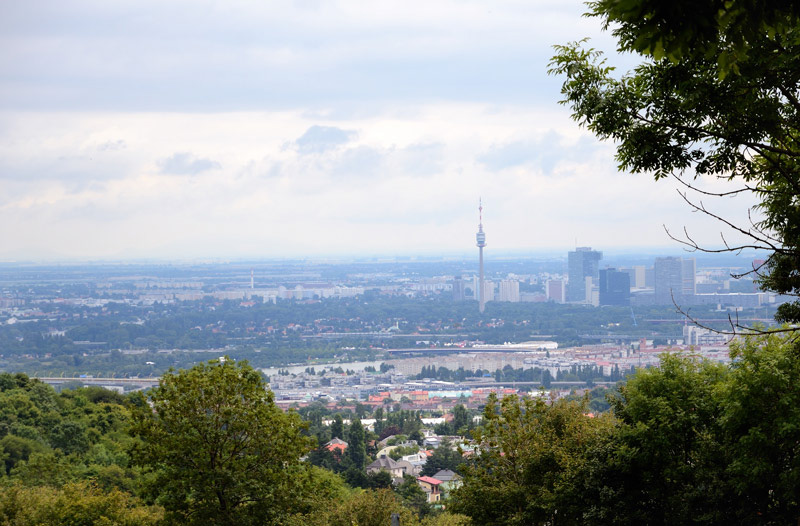26.6. Wanderung zum Kahlenberg, Blick auf Wien