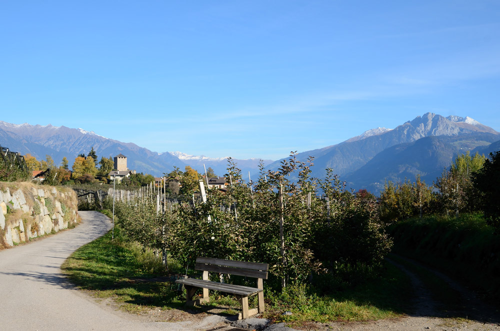 Nach einem ausgiebigen Frühstück starten wir unseren ersten Wandertag. Es geht bergauf entlang Wiesen, Obstgärten, Kastanienhainen und Wälder, Blick zurück auf Völlan...