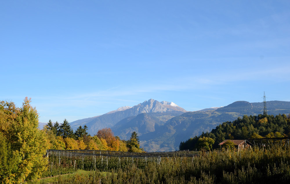 immer wieder bewundern wir solche Ausblicke, Herbst im Vintschgau, Blick zum Ifinger, 2581 m...