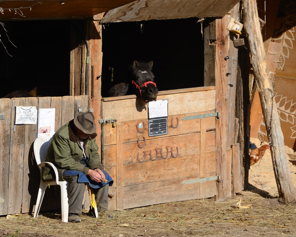 ...Bei einer Pony-Farm --> Warten auf Kundschaft...