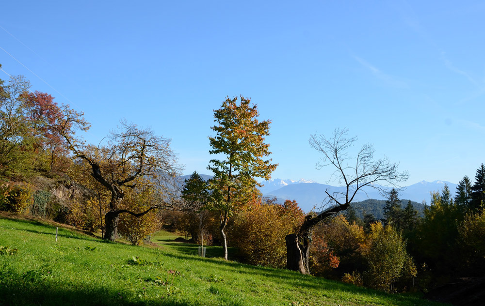 ...die Farben des Herbst in Südtirol...