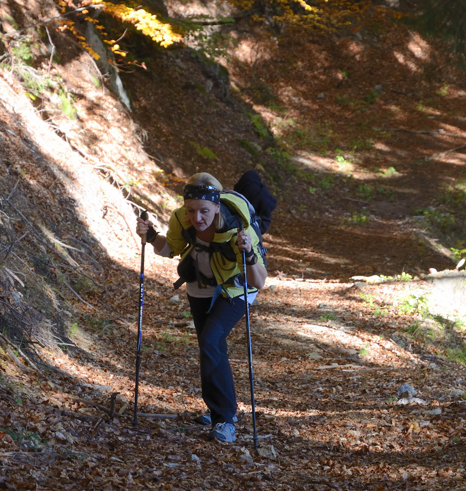 ...Zuerst geht es auf gut ausgebauten Wegen entlang. Oberhalb eines grossen Bergbauernhofes biegt dann der Weg rechts ab und es wird  immer steiler, aber man gibt sichtlich sein Bestes...