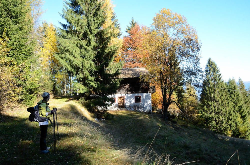 ...Nach ca. 2,5 Std. erreichen wir auf einer Lichtung diesen verlassener Bergbauernhof, das steilste Stück ist geschafft und wir machen hier eine kurze Rast...