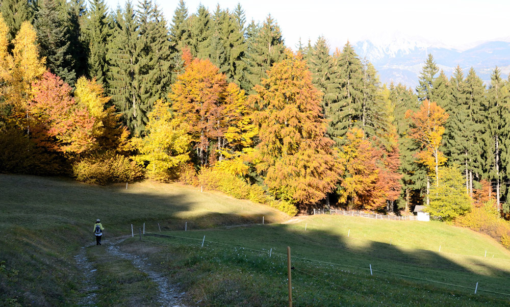 ...zügig geht es  bergab durch traumhafte herbstliche Wälder und Wiesen...