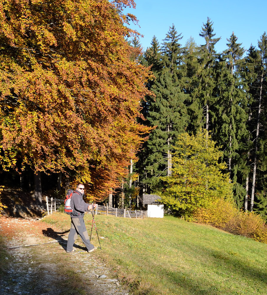 ...Die Wanderwege im Etschtal sind sehr gut ausgebaut und es ist für jeden Schwierigkeitsgrad etwas dabei. Beliebt ist die  Gegend auch bei Mountainbikern...