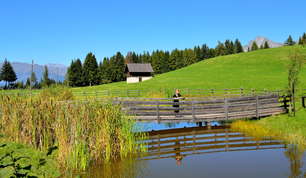 ...wir wandern weiter vorbei am Biotop Tsch�lberg...