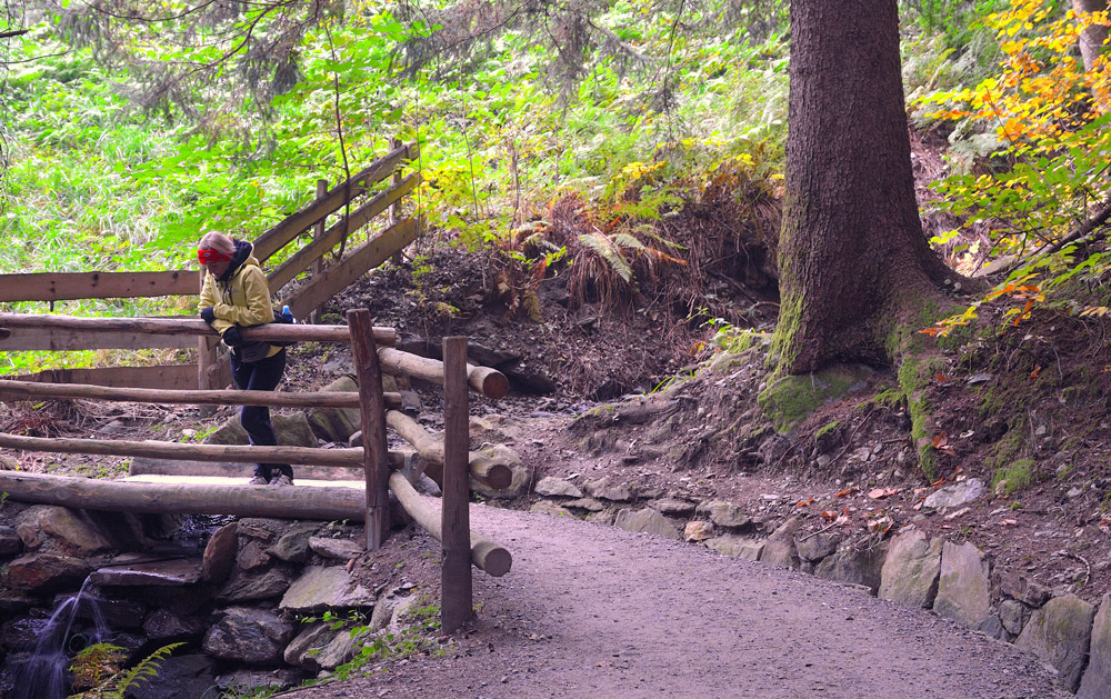 ...wir wandern weiter am Waalweg...