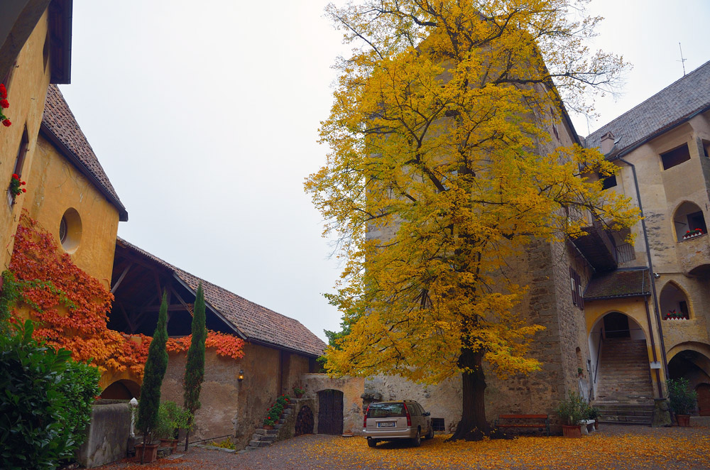 ...Über eine Brücke gelangt man zum Eingangstor und vorbei am Burgverlies in den romantischen Innenhof. Hier erwarten dem Besucher herrschaftliche Räume, ein Renaissance-Saal mit Fayenceofen aus dem 18. Jahrhundert, eine Gemäldegalerie und eine Waffensammlung aus dem 12. und 19. Jahrhundert, sowie die größte private Andreas-Hofer-Sammlung...