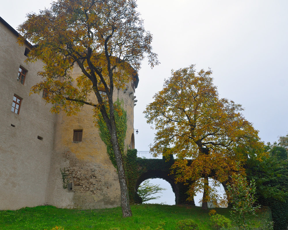 ...In den darauf folgenden Jahrhunderten wechselte Schloss Schenna häufig den Besitzer. Von Herzog Friedrich mit der leeren Tasche bis hin zu Erzherzog Johann wohnten so einige in dem Schloss, die es renovierten, veränderten und auch prägten. Heute wohnen und bewirtschaften die Grafen von Meran, Nachkommen des Erzherzog Johann, das Schloss...