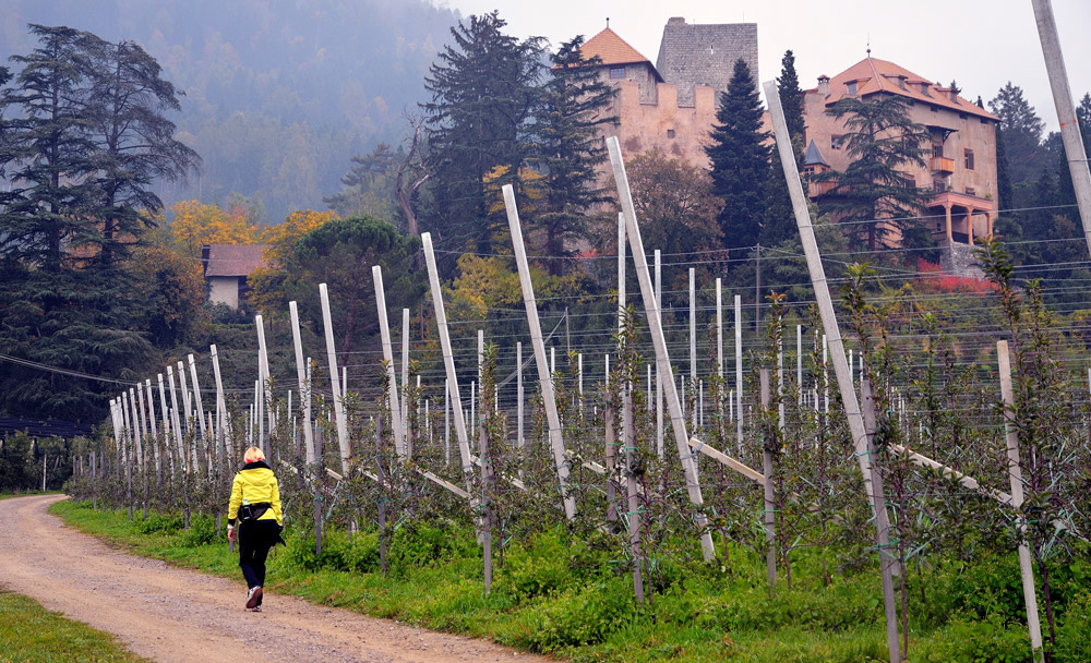 ...es geht wieder retour unterhalb der Burg Goyen, Der Bau, wie er heute zu sehen ist, stammt aus dem 12. Jahrhundert...