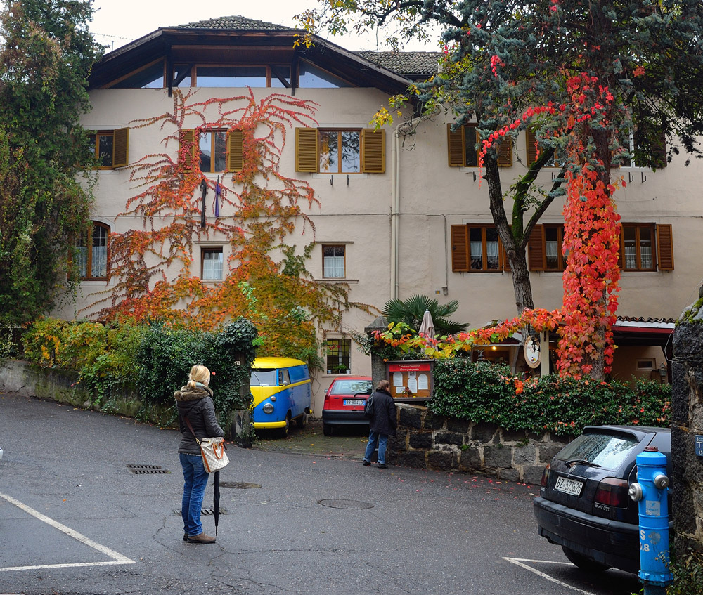 ...Auch in Meran zeigt sich der Herbst in seinen schönsten Farben...