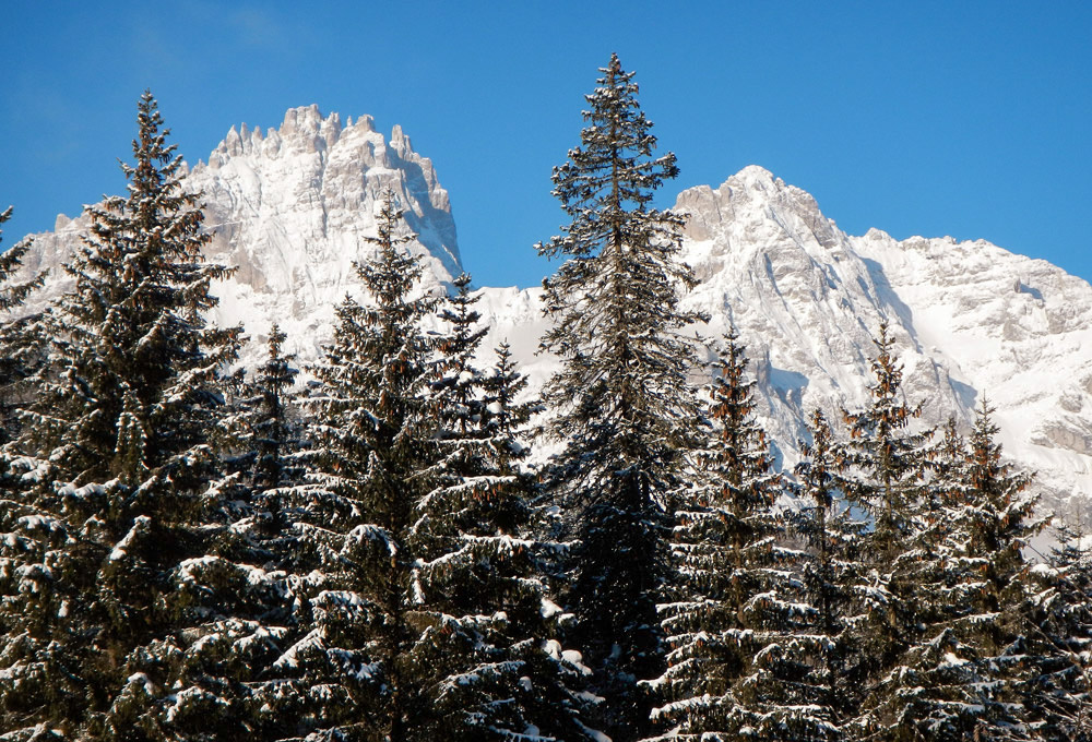 Eingebettet in unberührte Landschaft. Das Plätschern des Baches, der Anblick der Dolomiten, das Gefühl, eins mit der Wildnis zu sein und doch einzutauchen in eine Welt innovativer Urlaubsfreuden im Camping in Südtirol...so lautet der Leitspruch auf der Website vom CaravanPark Sexten und wie man sieht kommt dieser nicht von ungefähr, 
Rotwand-Massiv mit Einser-, Elfer- und Zwölferkofel, alle zwischen 2900 und 3100 m hoch...